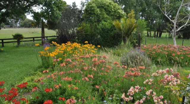 Jacaranda Lodge