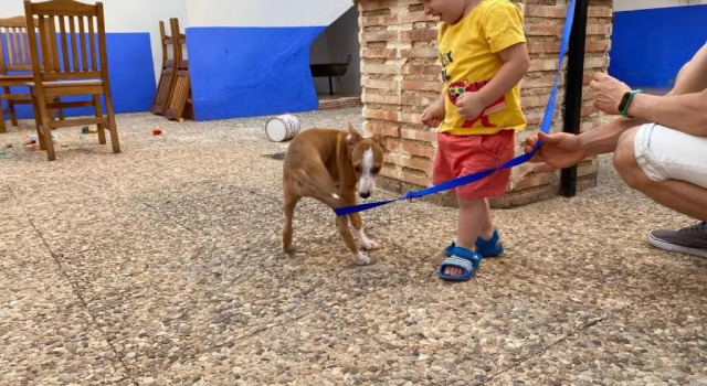 Коттедж Eva y el Edén