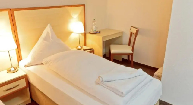 Одноместный номер Standard Hotel Ganita Weil am Rhein