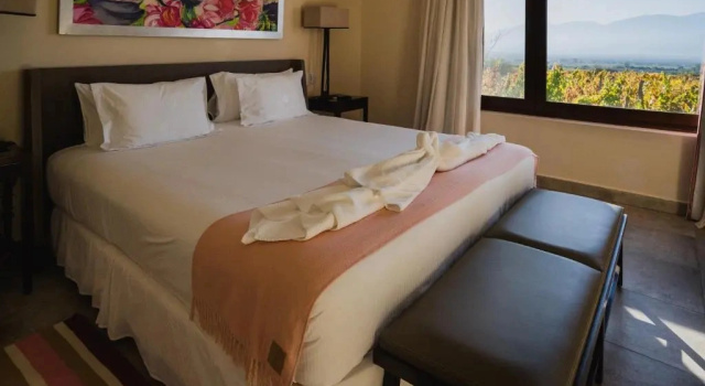 Одноместный номер Executive Piattelli Wine Resort