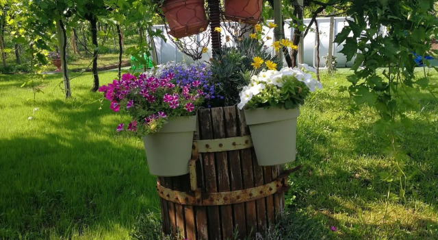 B&B Pontesello, Prenota Bed & breakfast Hotel economici a Veneto