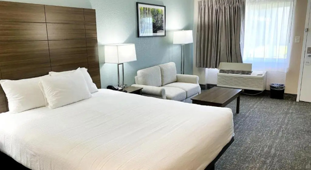 Одноместный номер Deluxe Roadstar Hotel Zephyrhills