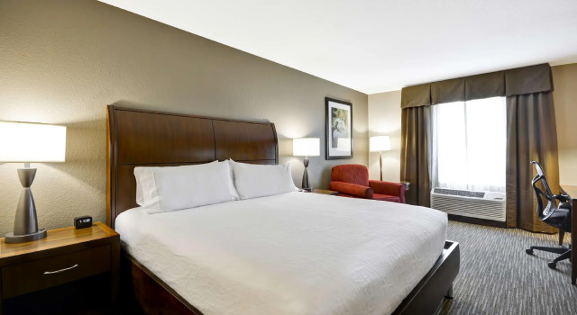 Двухместный номер Standard Hilton Garden Inn Sarasota-Bradenton Airport