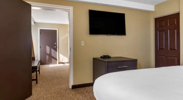 Люкс Comfort Inn Opelika - Auburn