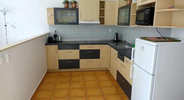 Апартаменты EEL accommodation Brno