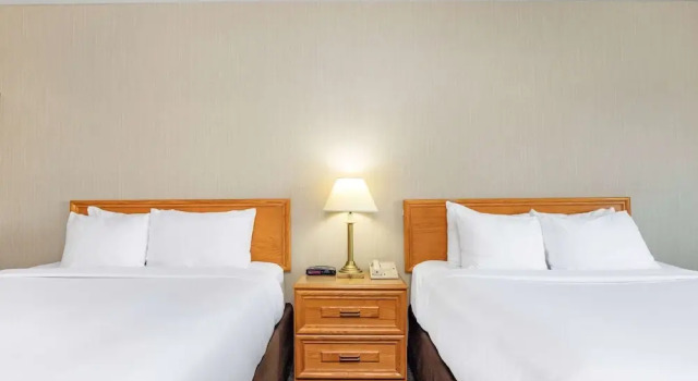 Comfort Inn Bridgewater, Reserva ahora Hotel Bridgewater Nova Scotia South Shore