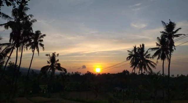 Lafyu Bali