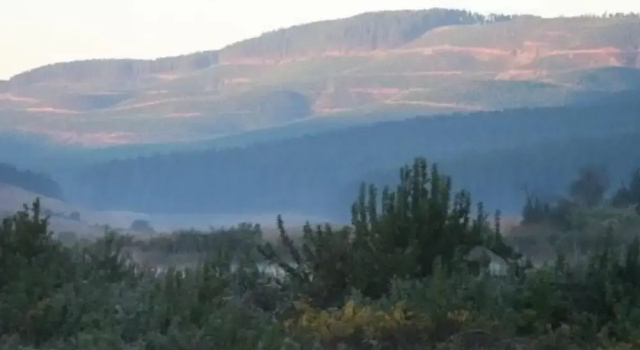 Номер Standard Gunyatoo Trout Trout Farm & Guest Lodge