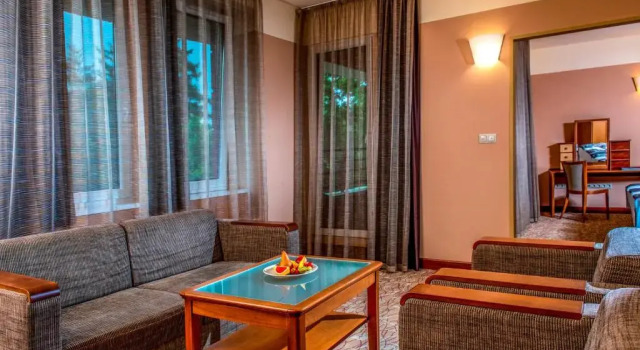 Люкс Dráva Hotel Thermal Resort