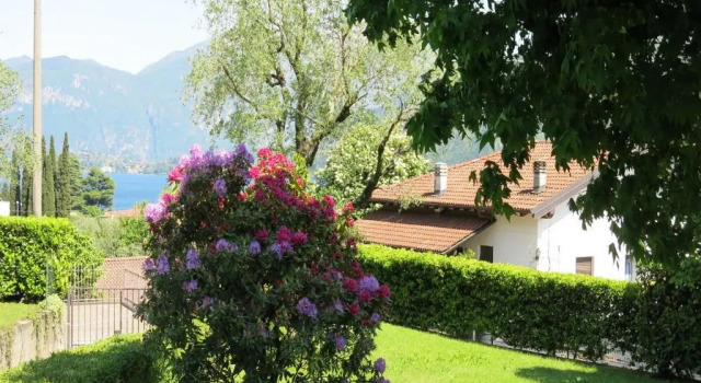 Armonia del Lago