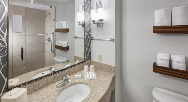 Четырёхместный номер Premium Hilton Garden Inn Lake Forest Mettawa