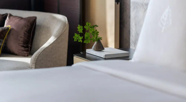 Номер Deluxe с видом на сад Four Seasons Hotel Suzhou