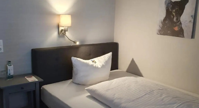 Одноместный номер Standard Hotel Freihof am Roland