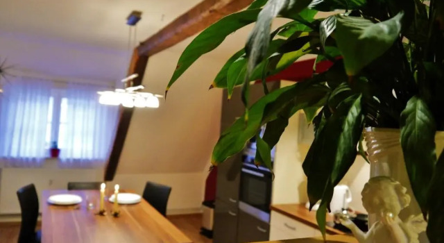 Номер Standard Haus-Wolter