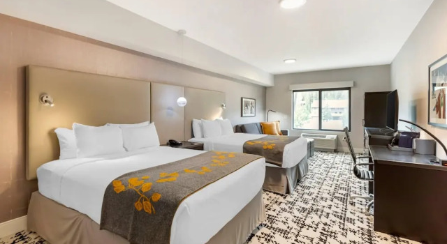 Люкс c 1 комнатой Cambria Hotel Copper Mountain