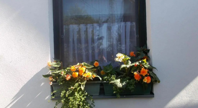 Коттедж с 2 комнатами Lenart House 2