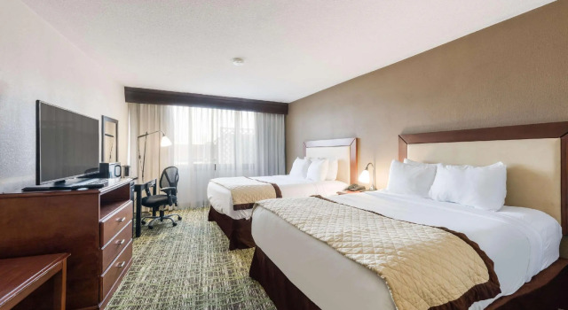 Четырёхместный номер Standard Clarion Hotel and Suites