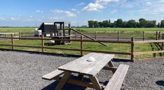 Четырёхместный номер Standard B&B Zunderdorp