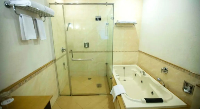 Люкс Executive Southernstar Mysore