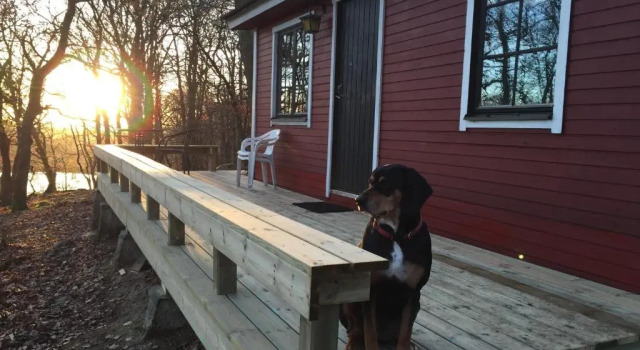 Коттедж c 1 комнатой Farm Stay Happy Dogs Ranch