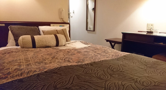 Двухместный номер Standard Centurion Hotel Hamamatsu
