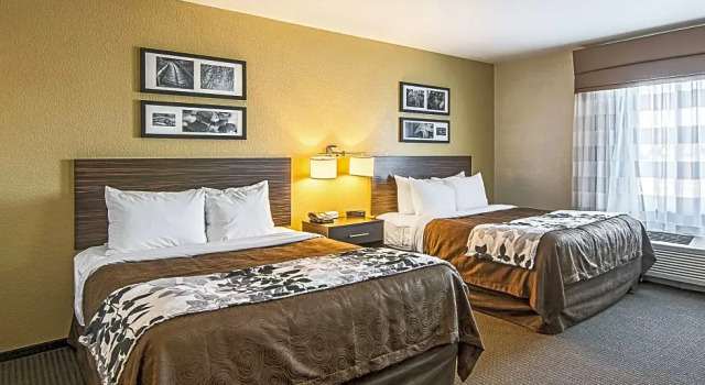 Четырёхместный номер Standard Mainstay Suites