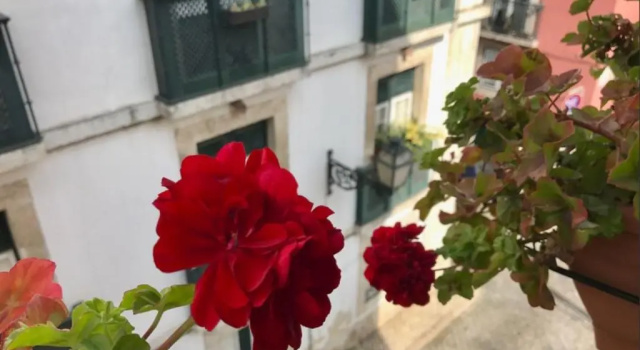 Апартаменты In the heart of Lisbon