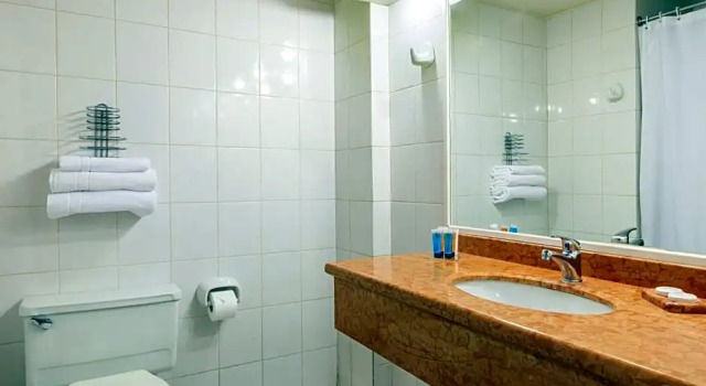 Двухместный номер Executive Hotel Frontera