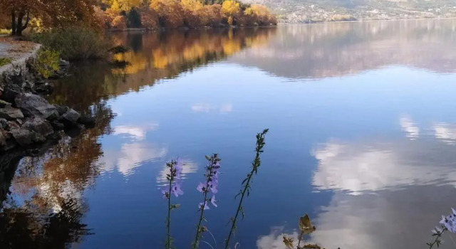 Апартаменты Kastoria apartment-in front of the lake,south side