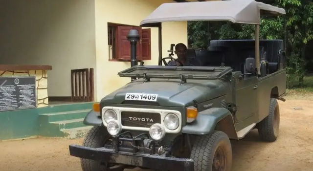 Ceylon Wild Safaris