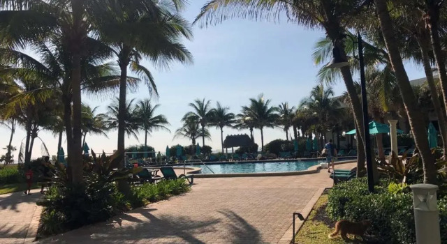 Апартаменты Hallandale Beach Intracoastal View Apartments