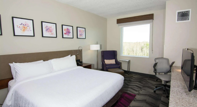 Двухместный номер Standard Hilton Garden Inn Tampa Suncoast Parkway