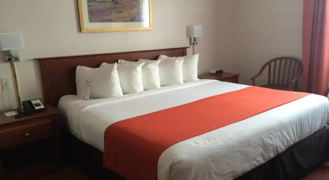 Номер Standard Super 8 by Wyndham Drayton Valley