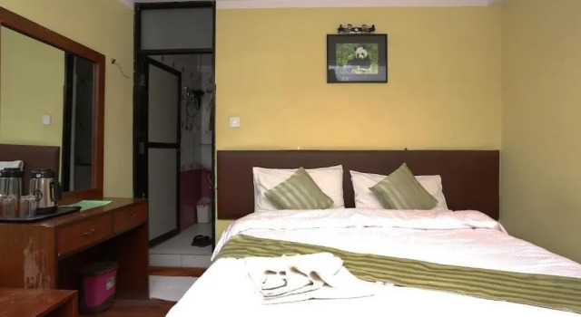 Двухместный номер Deluxe New Hotel Panda