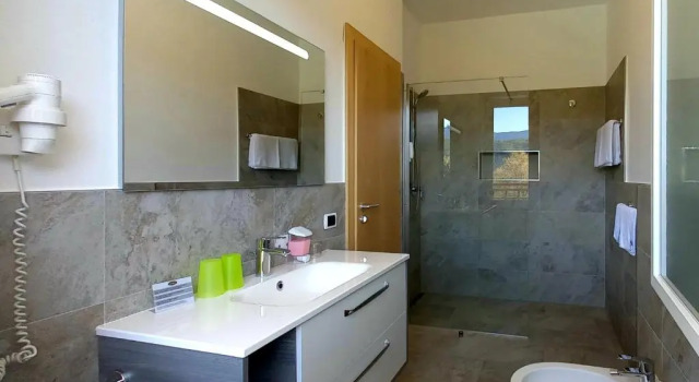 Номер Deluxe Hotel Garni Grüner Baum