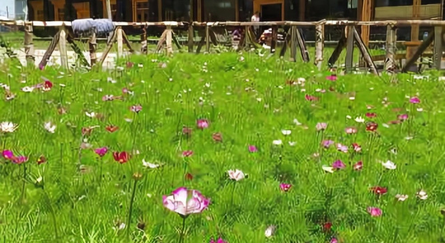 Tian Yue Hotel, Buchen Sie Hotel Watrel Sichuan