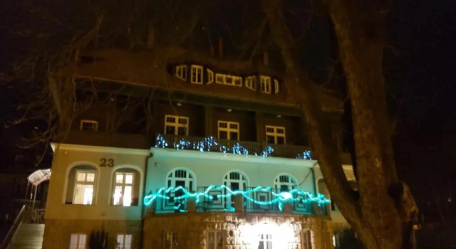 Одноместный номер Standard Villa Lessing