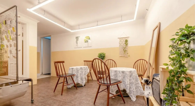 SeeU House