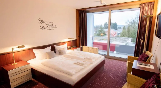 Люкс Standard HOTEL IM PARK