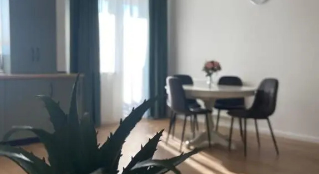 Focus Apartament, Varaa Huoneisto Cluj-Napoca 