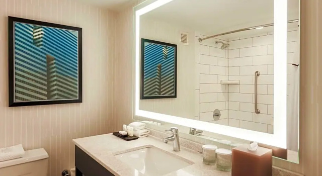 Двухместный люкс с 2 комнатами Embassy Suites by Hilton Dallas-Love Field