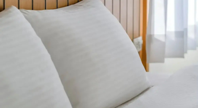 Номер Deluxe Green Beauty Homestay
