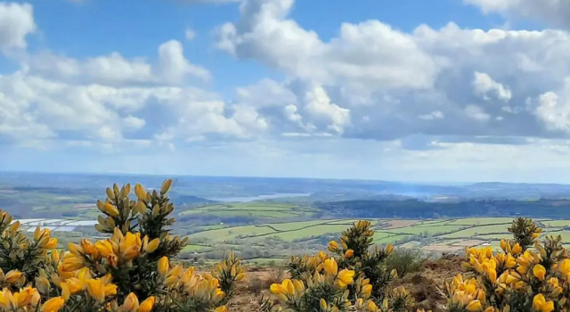 Место под палатку Summit Camping field, Kit Hill Rd, Cornwall BRING A TENT Stunning Views