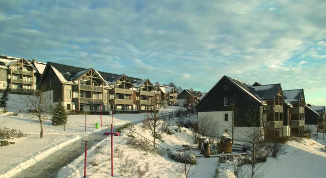 Апартаменты Hapimag Ferienwohnungen Winterberg
