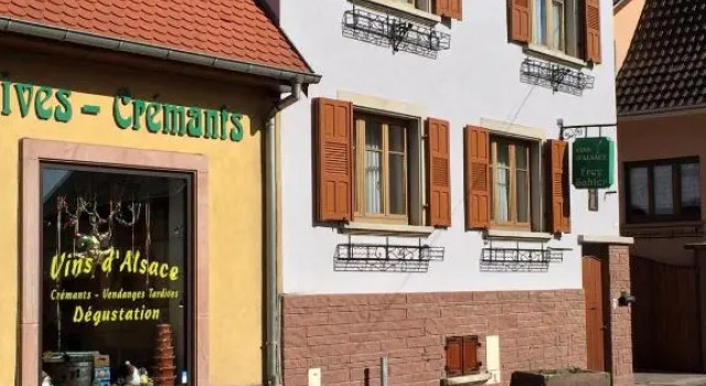 Vignobles Frey-Sohler, Book Lejlighed Lejligheder i Alsace, Lejlighed