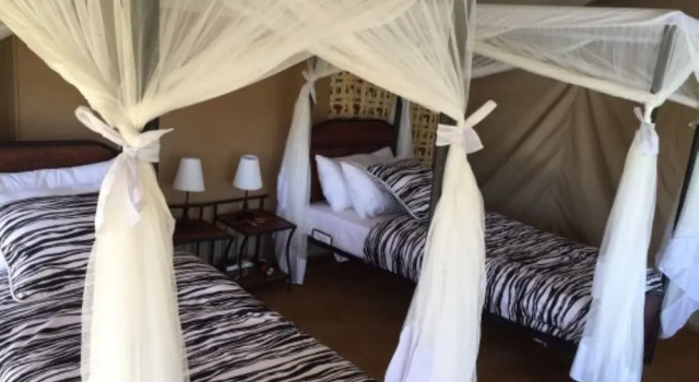 Acacia Tarangire Luxury Camp, Rezervasyon Kamp Alanı Arusha Tanzanya