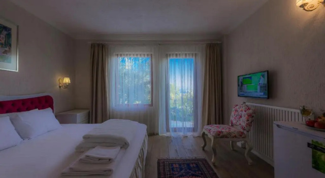 Luksusowy dwuosobowy pokój z widokiem na ogród Aeneas Hotel