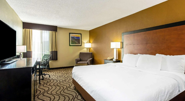 Двухместный номер Deluxe Garner Hotel Wytheville East by IHG