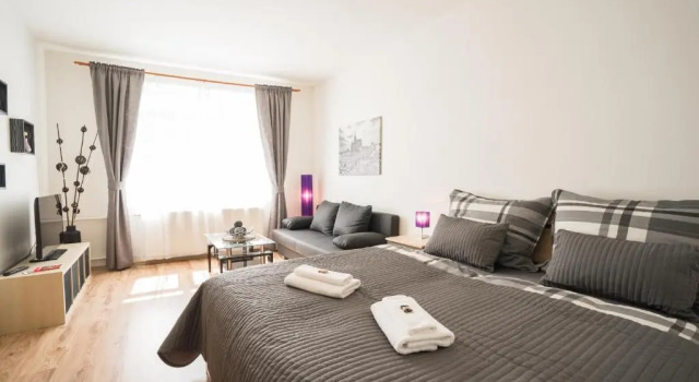 Апартаменты Superior Čajkovskij Apartments