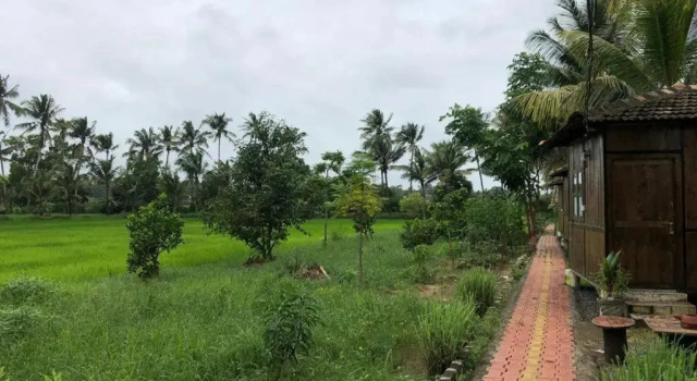 Saligao Farm Cottages, Book Landbrugsophold Gårdophold i Goa, Landbrugsophold